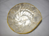Bowl from Shell