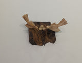 Two Birds with Egg on Mangrove Wood