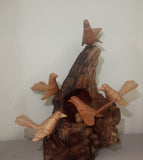 5 Birds with Egg on Driftwood