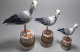 Seagulls from Wood