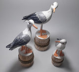 Seagulls from Wood