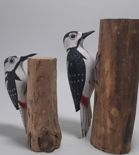 Bird Woodpecker Black