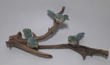 3 Birds on a Branch