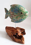 Small Fish on floating wood