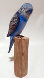 Bird Blue Parakeet