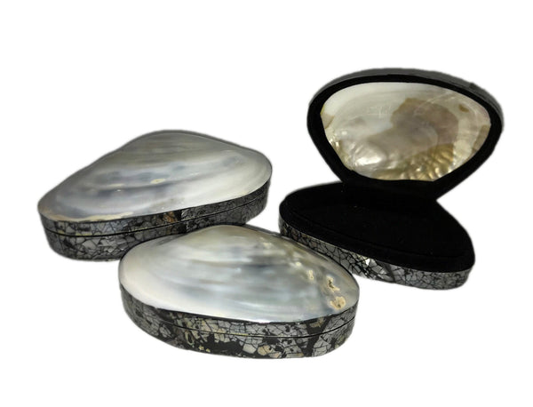 Jewelry Box made from Shell and Resin