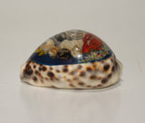 Tiger Shell with Resin art