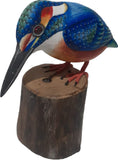 Bird King Fisher