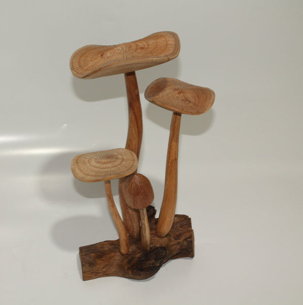 Mushroom From Wood