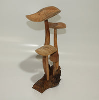 Mushroom From Wood
