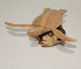 Turtle On Parasite Wood