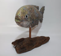 Fish on driftwood (Knock Down Style)