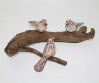3 Birds on a Branch