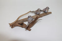3 Birds on a Branch