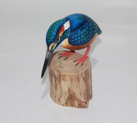 Bird King Fisher