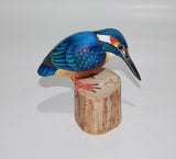 Bird King Fisher