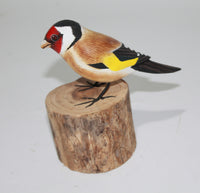 Gold Finch 1