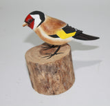 Gold Finch 1