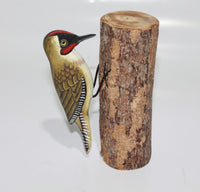 Bird Woodpecker Green