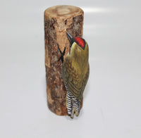 Bird Woodpecker Green