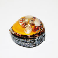 Small Jewelry Box With Resin