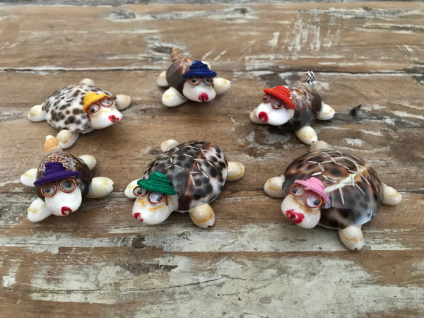Turtle made from sea shell with magnet