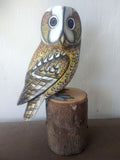Tawny Owl