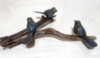 3 Birds on a Branch
