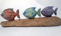 3 Fish's on Driftwood