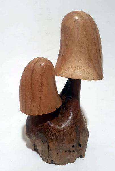 Mushroom on Driftwood