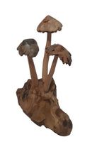 Wooden Mushroom on Root Wood