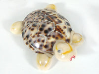 Turtle made from sea shell mix