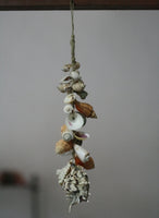 Hanging Sea Shell Decoration Klonong