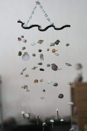 Hanging Sea Shell Decoration