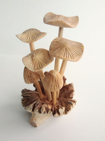 Wooden Mushroom on Parasite Wood