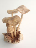Wooden Mushroom on Parasite Wood