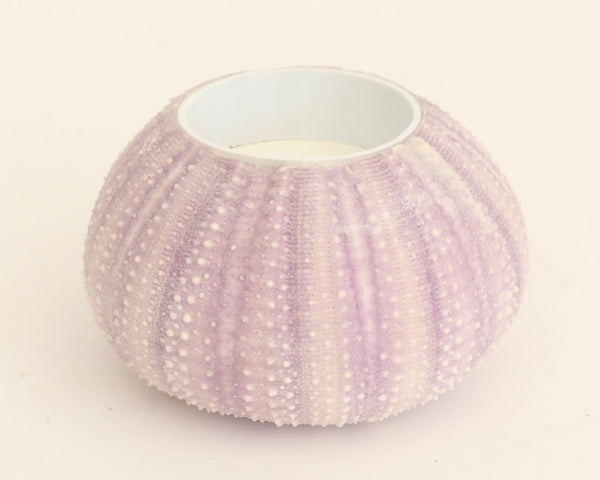 Candle Holder from Sea Urchins